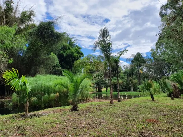 Sítio de alto padrão com piscina aquecida — foto 6