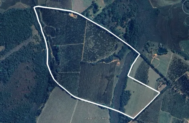 Fazenda de 41 ha com citricultura irrigada — foto 45