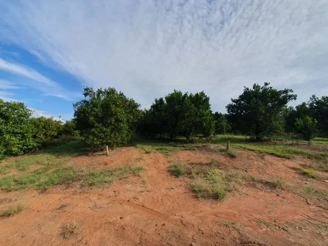 Fazenda de 41 ha com citricultura irrigada — foto 10