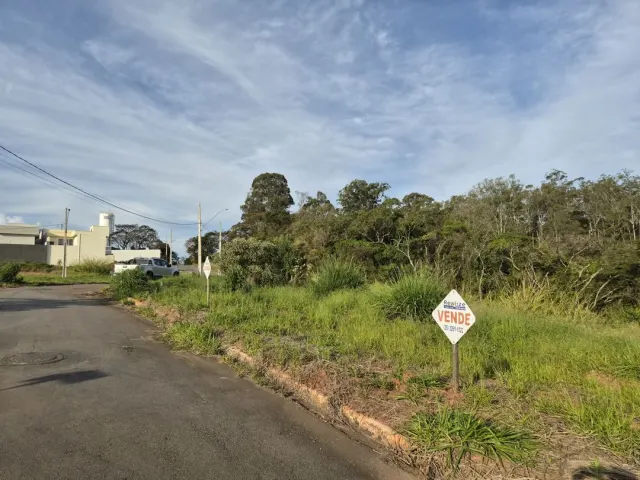Lote de 200 m² perto do novo Fórum — foto 4