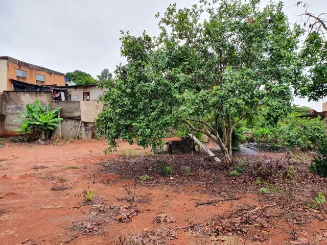 Lote murado de 894 m² no Canadá — foto 9